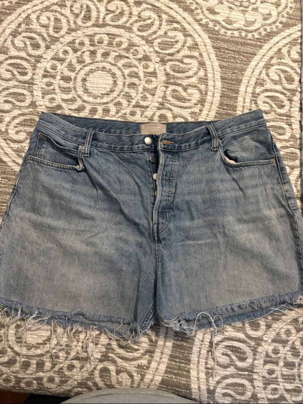 Everlane Light Blue Frayed Hem Denim Shorts
